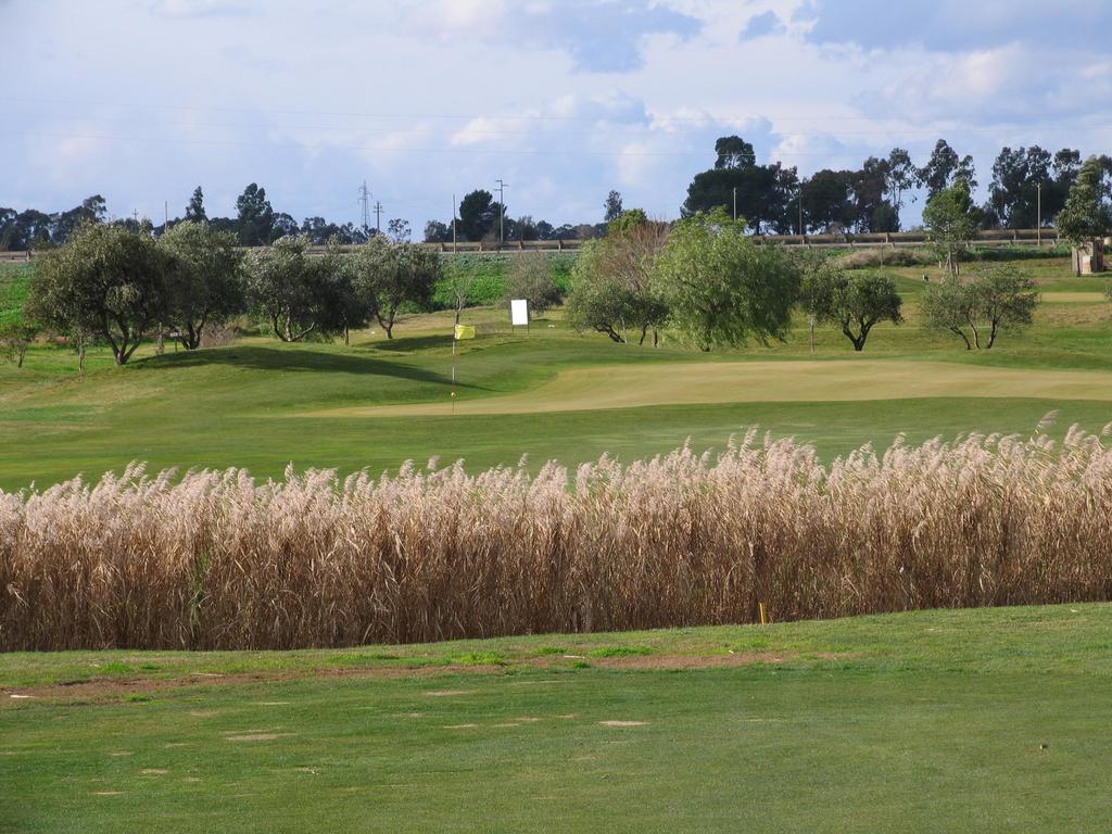 Maison d'hôtes Golf Club Métaponte Extérieur photo